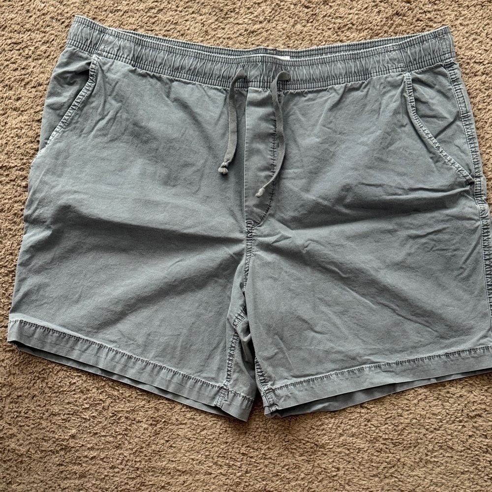American Eagle Outfitters Men's Charcoal Flat Front Shorts
